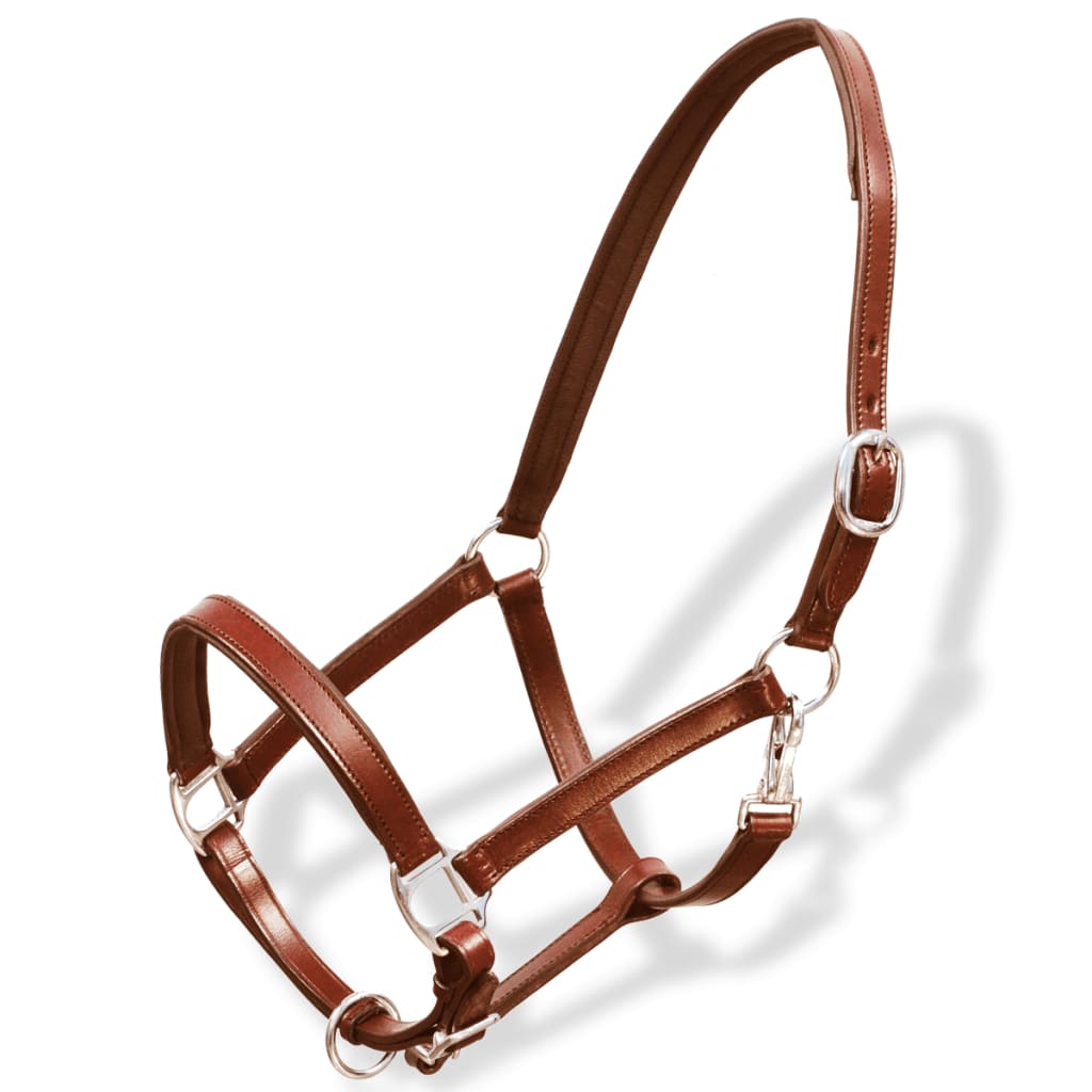 Echtleder Halfter Braun Pony Verstellbar