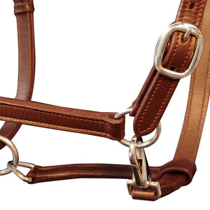 Echtleder Halfter Braun Pony Verstellbar