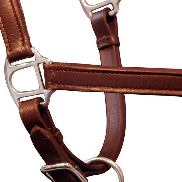 Echtleder Halfter Braun Pony Verstellbar
