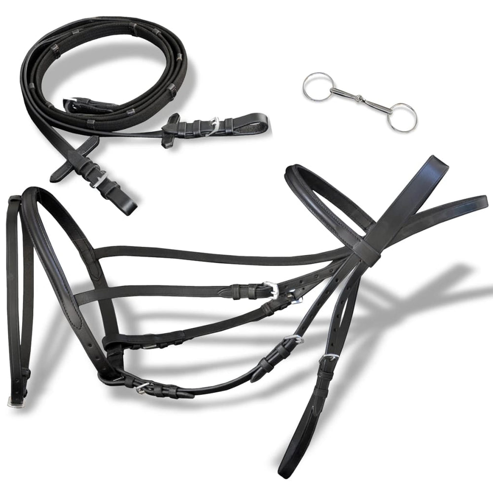 Leather bridle with reins and bit, black piston