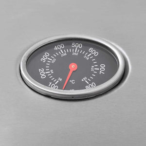 Gasgrill 4+1 Flammen Silber