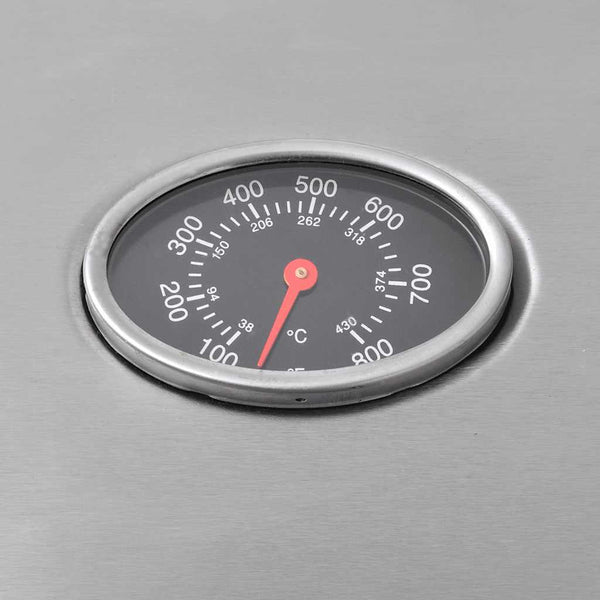 Gasgrill 4+1 Flammen Silber