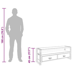 TV-Schrank 120x35x45 cm Massivholz Mango