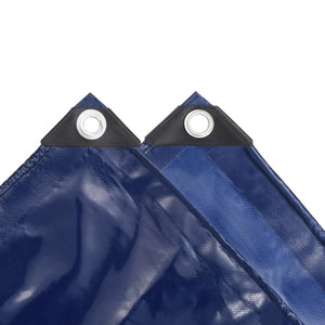 vidaXL Bâche 650 g/m² 5 x 6 m Bleue
