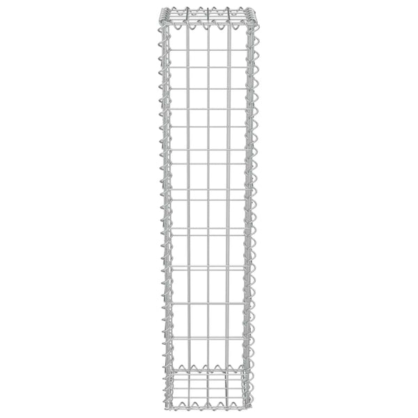 Gabionenwand mit Abdeckung Verzinkter Stahl 20×20×100 cm