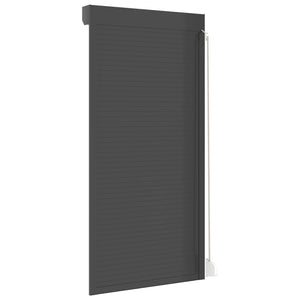 Anthrazit Rollladen 100x210 cm
