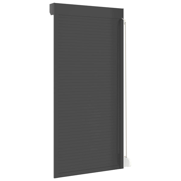 Anthrazit Rollladen 100x210 cm