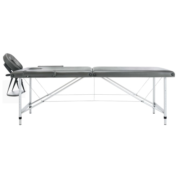 vidaXL Table de massage à 2 zones avec cadre en aluminium Anthracite 186x68 cm