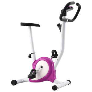 Ergometer Heimtrainer Lila