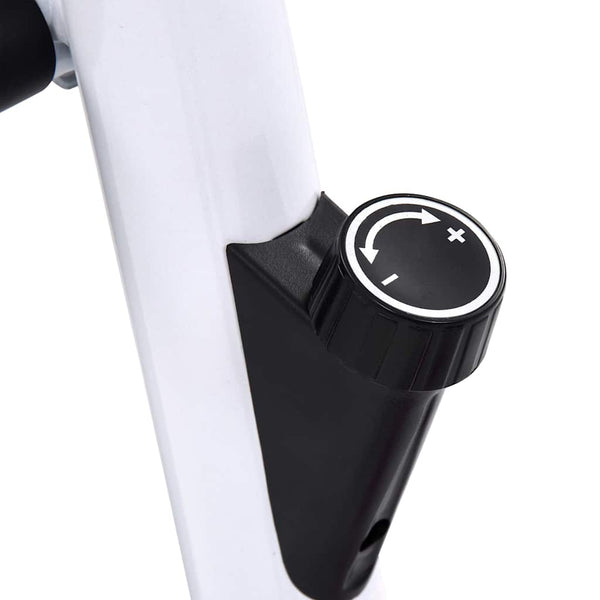 Ergometer Heimtrainer Lila