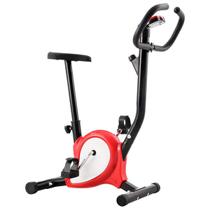 Heimtrainer Exercise Bike Rot
