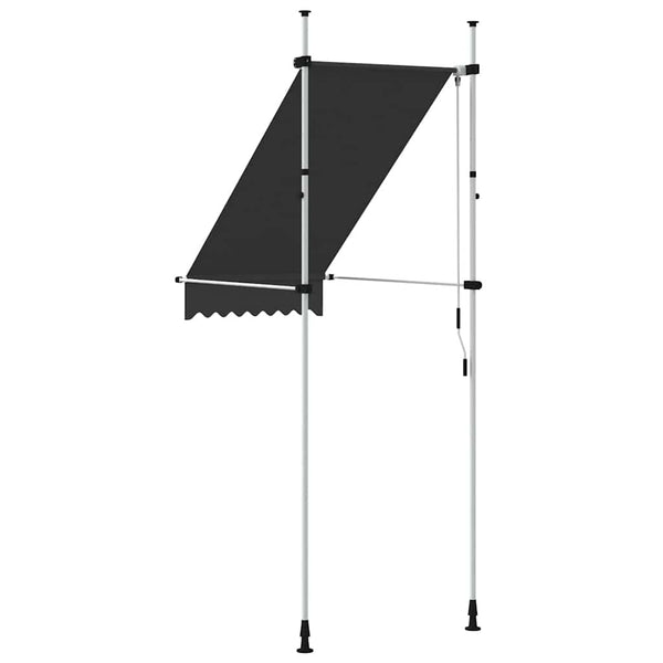 Einziehbare Markise Handbetrieben 100 cm Anthrazit