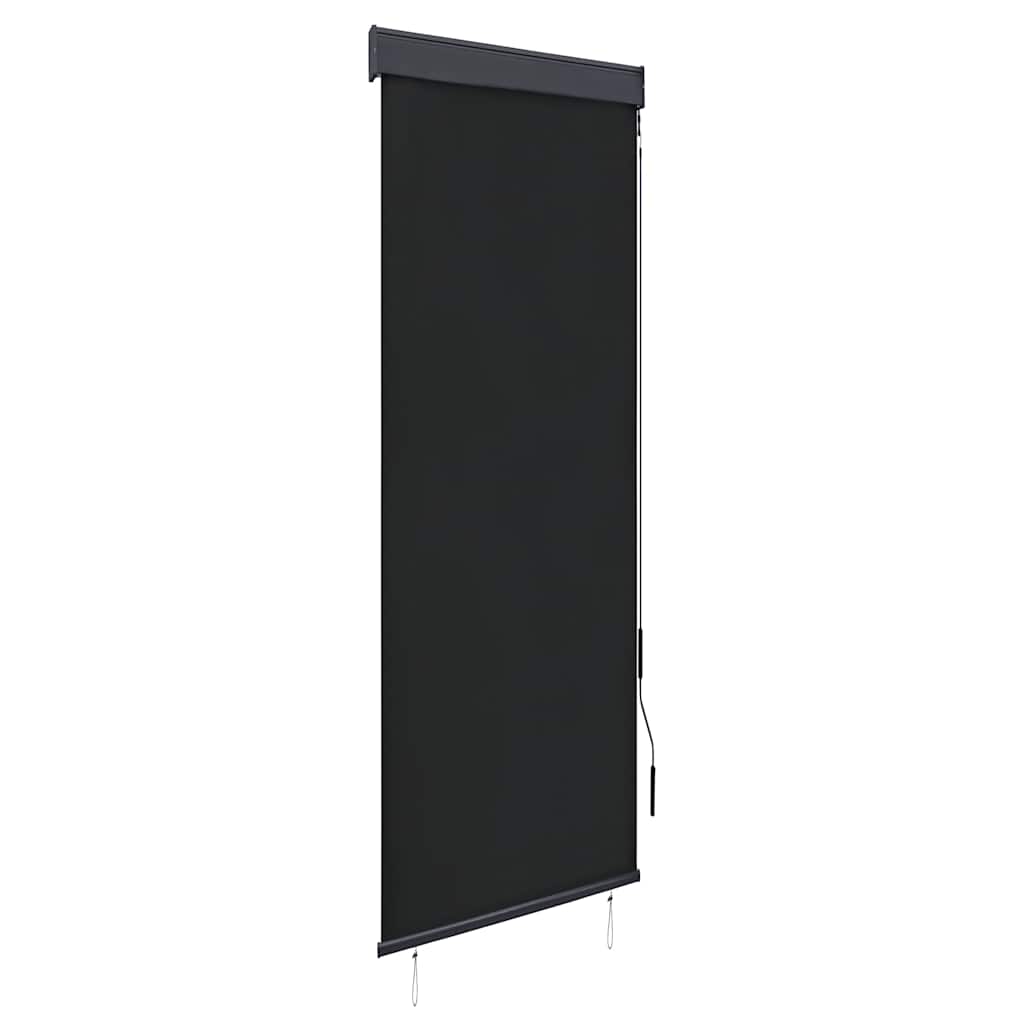 vidaXL Store extérieur 60 x 250 cm Anthracite