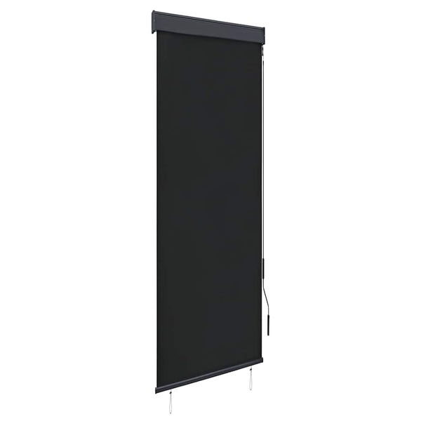 vidaXL Store extérieur 60 x 250 cm Anthracite