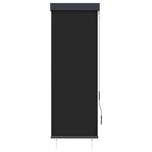 vidaXL Store extérieur 60 x 250 cm Anthracite