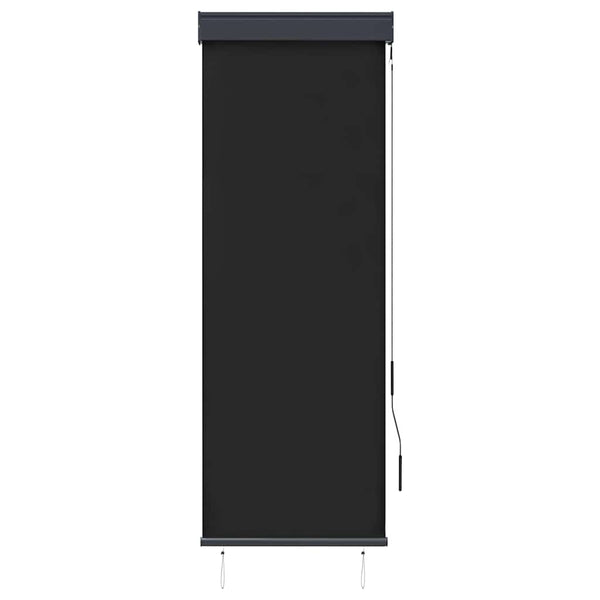 vidaXL Store extérieur 60 x 250 cm Anthracite