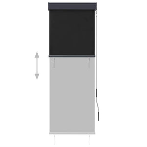 vidaXL Store extérieur 60 x 250 cm Anthracite