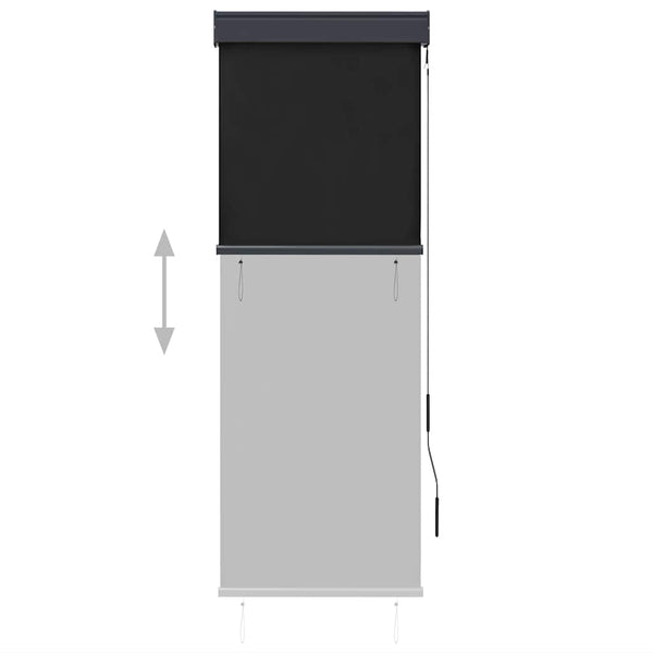 vidaXL Store extérieur 60 x 250 cm Anthracite