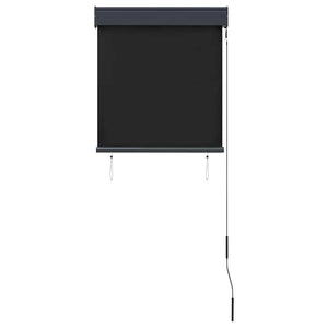 vidaXL Store extérieur 60 x 250 cm Anthracite