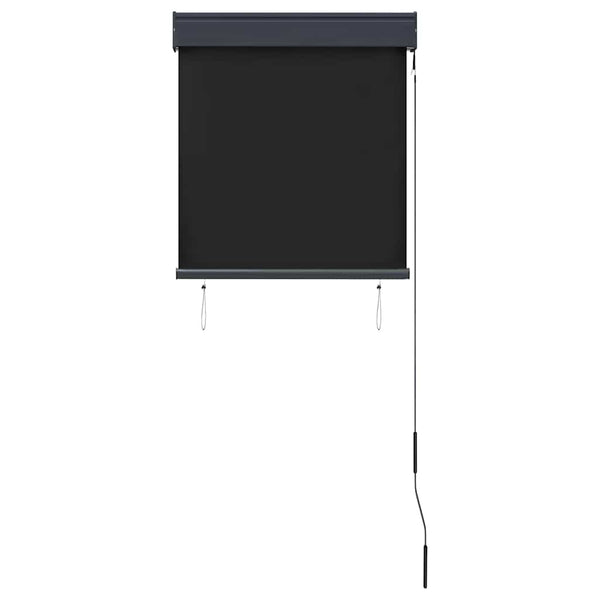 vidaXL Store extérieur 60 x 250 cm Anthracite