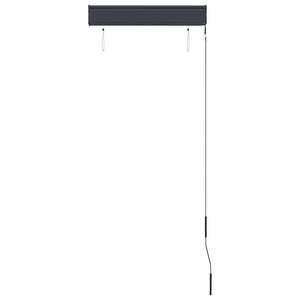 vidaXL Store extérieur 60 x 250 cm Anthracite