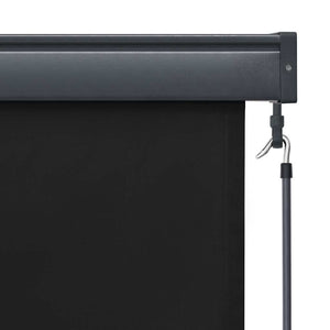 vidaXL Store extérieur 60 x 250 cm Anthracite