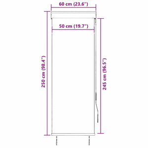 vidaXL Store extérieur 60 x 250 cm Anthracite
