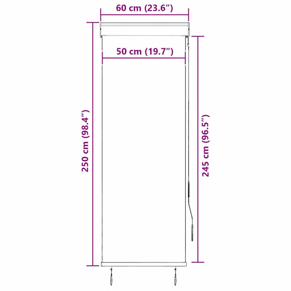 vidaXL Store extérieur 60 x 250 cm Anthracite