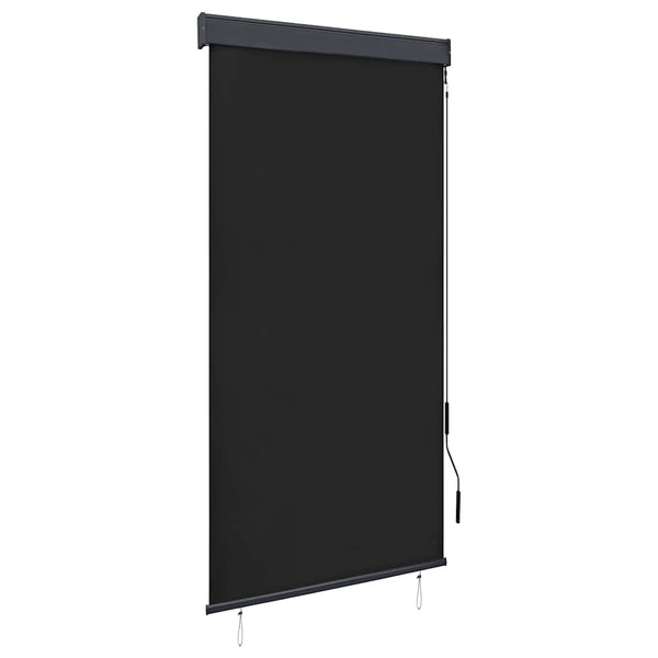 Store extérieur vidaXL 80 x 250 cm anthracite