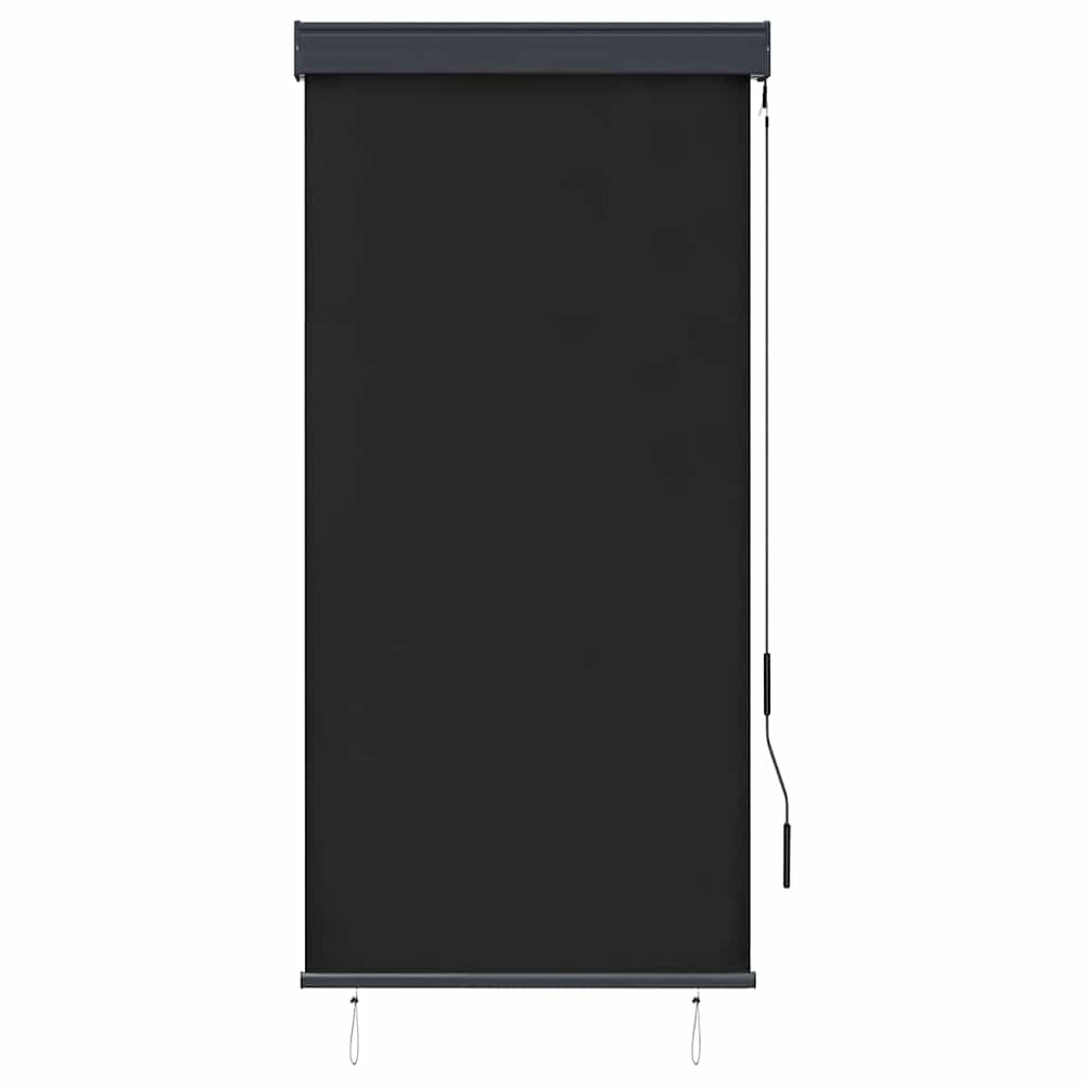 Store extérieur vidaXL 80 x 250 cm anthracite