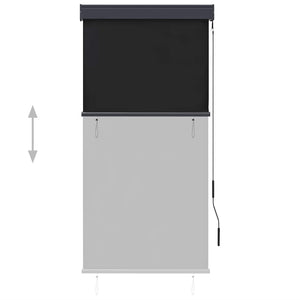 Store extérieur vidaXL 80 x 250 cm anthracite