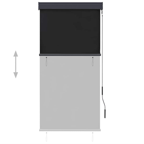 Store extérieur vidaXL 80 x 250 cm anthracite