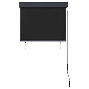 Store extérieur vidaXL 80 x 250 cm anthracite