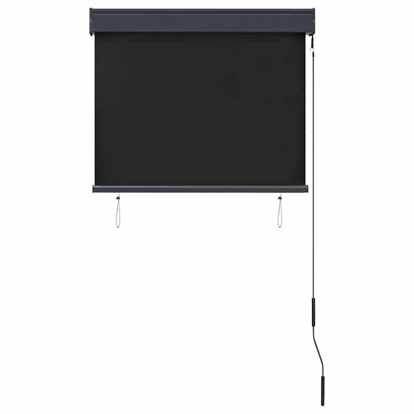 Store extérieur vidaXL 80 x 250 cm anthracite