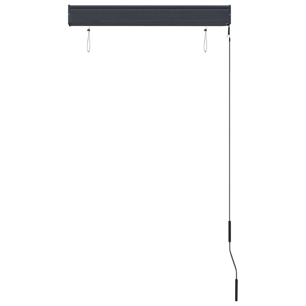 Store extérieur vidaXL 80 x 250 cm anthracite
