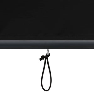 Store extérieur vidaXL 80 x 250 cm anthracite