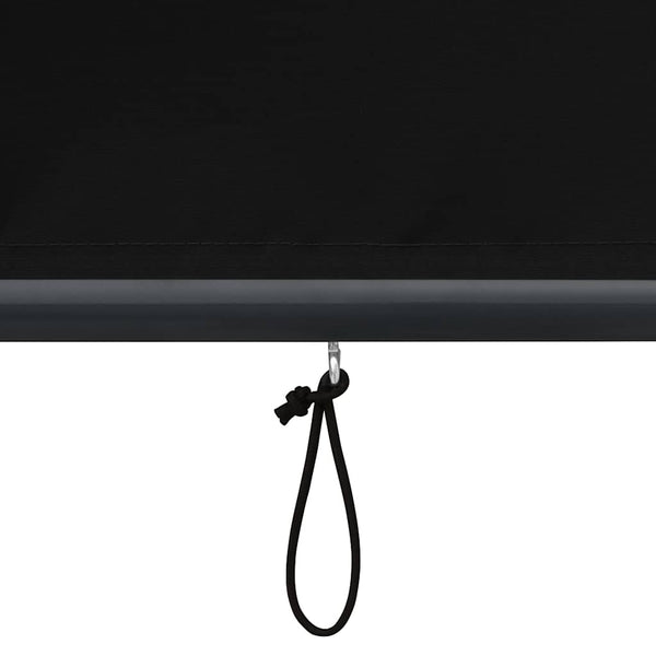 Store extérieur vidaXL 80 x 250 cm anthracite