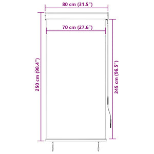 Store extérieur vidaXL 80 x 250 cm anthracite