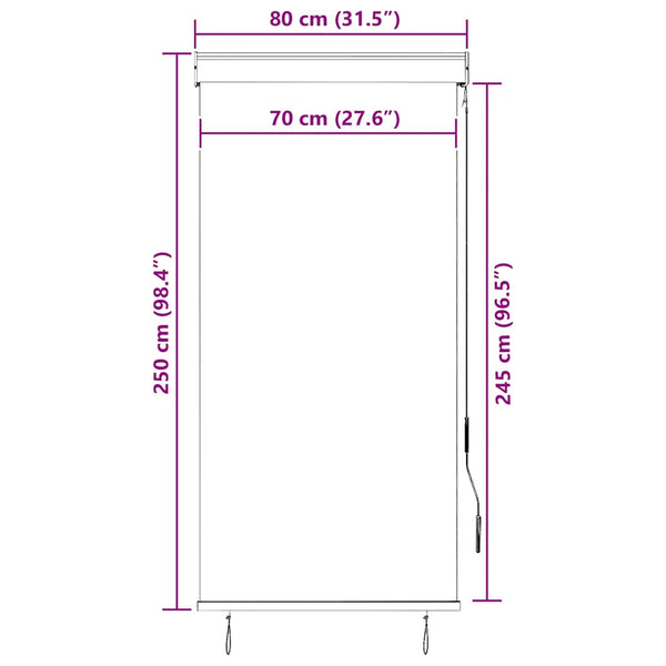 Store extérieur vidaXL 80 x 250 cm anthracite