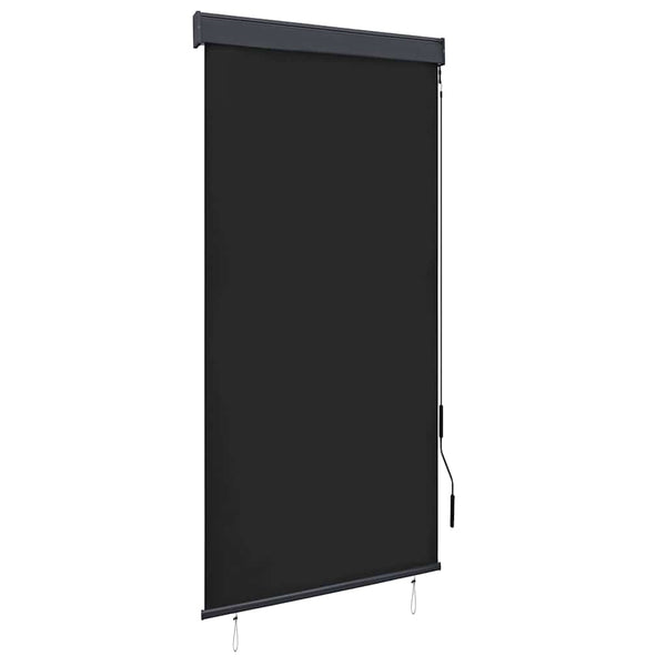 Store extérieur vidaXL 100 x 250 cm Anthracite