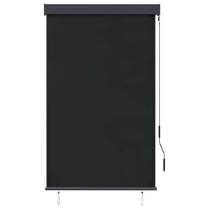 Store extérieur vidaXL 100 x 250 cm Anthracite