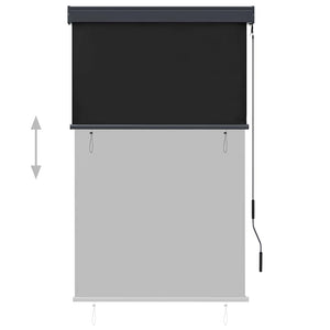 Store extérieur vidaXL 100 x 250 cm Anthracite