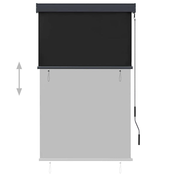 Store extérieur vidaXL 100 x 250 cm Anthracite