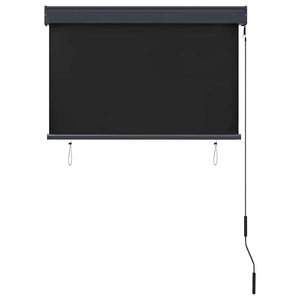 Store extérieur vidaXL 100 x 250 cm Anthracite