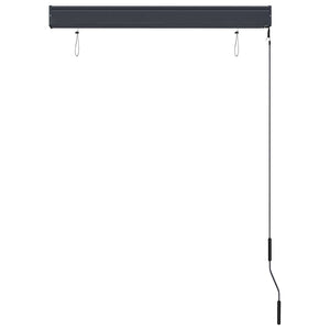 Store extérieur vidaXL 100 x 250 cm Anthracite