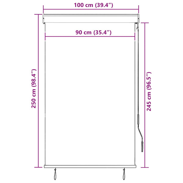 Store extérieur vidaXL 100 x 250 cm Anthracite