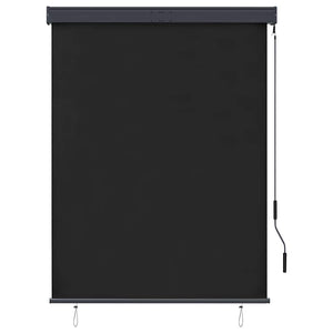 vidaXL Store d'extérieur 120 x 250 cm Anthracite