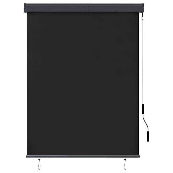 vidaXL Store d'extérieur 120 x 250 cm Anthracite