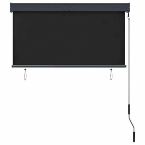 vidaXL Store d'extérieur 120 x 250 cm Anthracite