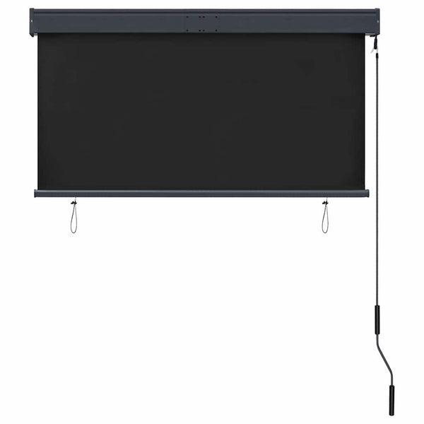 vidaXL Store d'extérieur 120 x 250 cm Anthracite